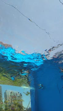 サンシャイン水族館に投稿された画像（2024/5/31）