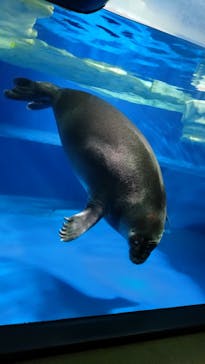サンシャイン水族館に投稿された画像（2024/5/31）