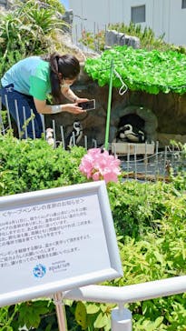 サンシャイン水族館に投稿された画像（2024/5/31）