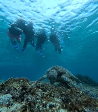 宮古島 ADVENTURE PiPi（ミヤコジマ アドベンチャー ピピ）に投稿された画像（2024/5/31）