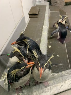 AOAO SAPPOROに投稿された画像（2024/5/31）