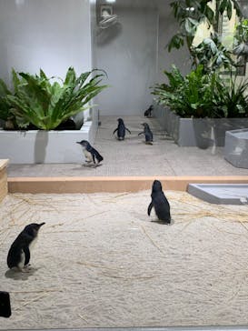 AOAO SAPPOROに投稿された画像（2024/5/31）