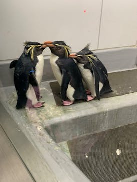 AOAO SAPPOROに投稿された画像（2024/5/31）