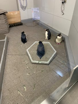 AOAO SAPPOROに投稿された画像（2024/5/31）