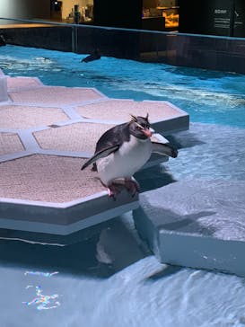 AOAO SAPPOROに投稿された画像（2024/5/31）