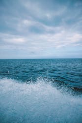 ダイブハウスマンタ石垣島に投稿された画像（2024/5/31）