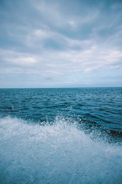 ダイブハウスマンタ石垣島に投稿された画像（2024/5/31）