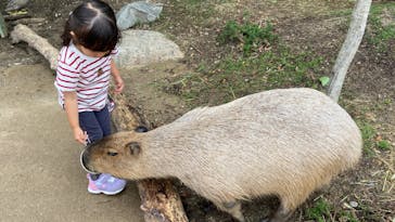 神戸どうぶつ王国に投稿された画像（2024/5/31）