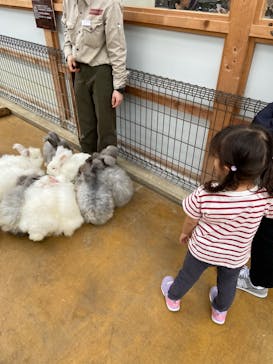 神戸どうぶつ王国に投稿された画像（2024/5/31）