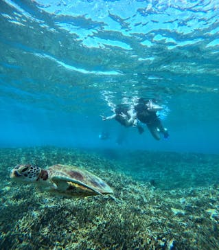 宮古島 ADVENTURE PiPi（ミヤコジマ アドベンチャー ピピ）に投稿された画像（2024/5/31）