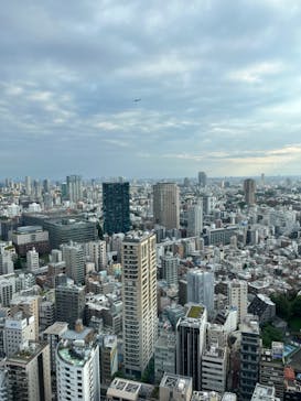 東京タワーに投稿された画像（2024/5/31）