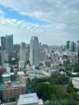 東京タワーに投稿された画像（2024/5/31）