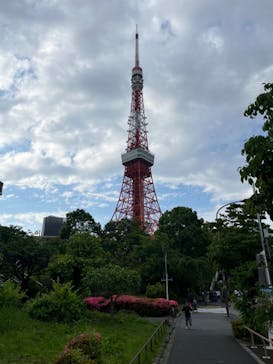 東京タワーに投稿された画像（2024/5/31）