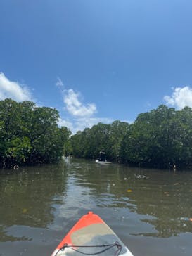 西表島 ADVENTURE PiPi（アドベンチャーピピ）に投稿された画像（2024/5/31）