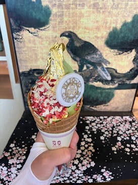 元離宮二条城に投稿された画像（2024/5/31）