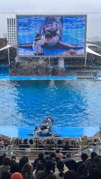 名古屋港水族館に投稿された画像（2024/5/31）