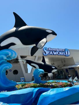 鴨川シーワールドに投稿された画像（2024/6/1）