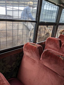 那須サファリパークに投稿された画像（2024/6/1）