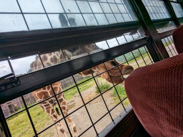 那須サファリパークに投稿された画像（2024/6/1）