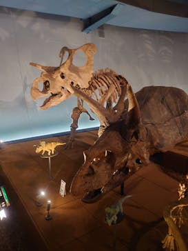 福井県立恐竜博物館に投稿された画像（2024/6/1）