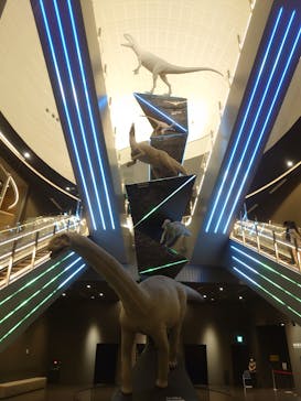 福井県立恐竜博物館に投稿された画像（2024/6/1）