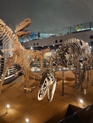福井県立恐竜博物館に投稿された画像（2024/6/1）