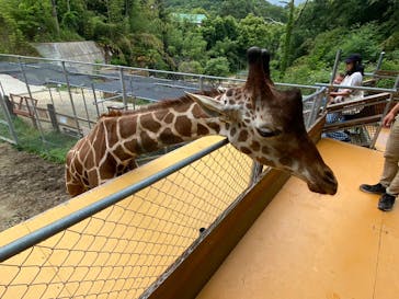 しろとり動物園に投稿された画像（2024/6/1）