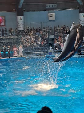 マクセル アクアパーク品川に投稿された画像（2024/6/1）