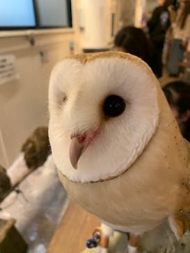 アニマルカフェフレカ　福島店に投稿された画像（2024/6/1）