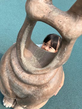 到津の森公園に投稿された画像（2024/6/1）