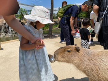 神戸どうぶつ王国に投稿された画像（2024/6/1）