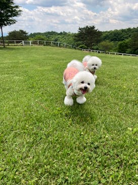 那須どうぶつ王国に投稿された画像（2024/6/1）