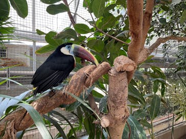 神戸どうぶつ王国に投稿された画像（2024/6/1）