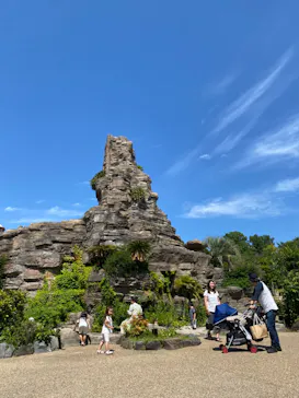 ひらかたパークに投稿された画像（2024/6/1）