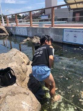 横浜・八景島シーパラダイスに投稿された画像（2024/6/1）