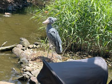 神戸どうぶつ王国に投稿された画像（2024/6/1）