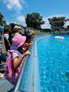 東武動物公園に投稿された画像（2024/6/1）