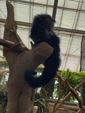 神戸どうぶつ王国に投稿された画像（2024/6/1）