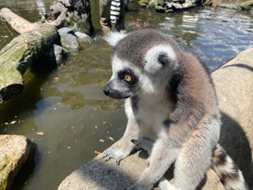 神戸どうぶつ王国に投稿された画像（2024/6/1）