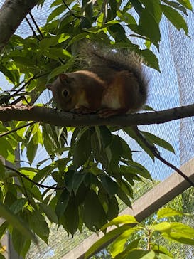 神戸どうぶつ王国に投稿された画像（2024/6/1）