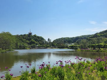 三溪園に投稿された画像（2024/6/1）