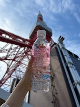 東京タワーに投稿された画像（2024/6/1）