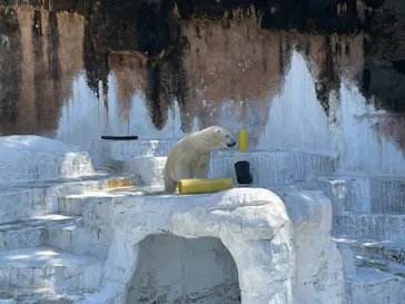 天王寺動物園に投稿された画像（2024/6/1）