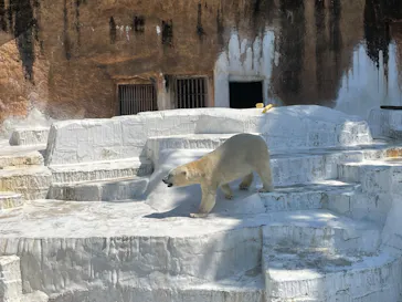 天王寺動物園に投稿された画像（2024/6/1）