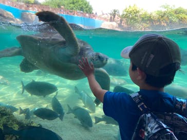 横浜・八景島シーパラダイスに投稿された画像（2024/6/1）