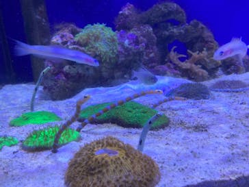 横浜・八景島シーパラダイスに投稿された画像（2024/6/1）