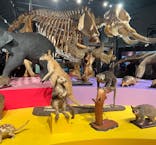 特別展「大哺乳類展３－わけてつなげて大行進」に投稿された画像（2024/6/1）