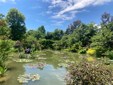 浜名湖花博2024に投稿された画像（2024/6/1）