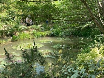 浜名湖花博2024に投稿された画像（2024/6/1）