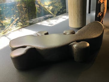 京都水族館に投稿された画像（2024/6/1）